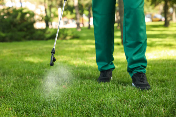 Best Wasp Removal Services  in Madisonville, TN
