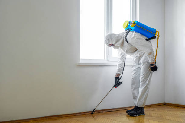 Best Cockroach Control Services  in Madisonville, TN