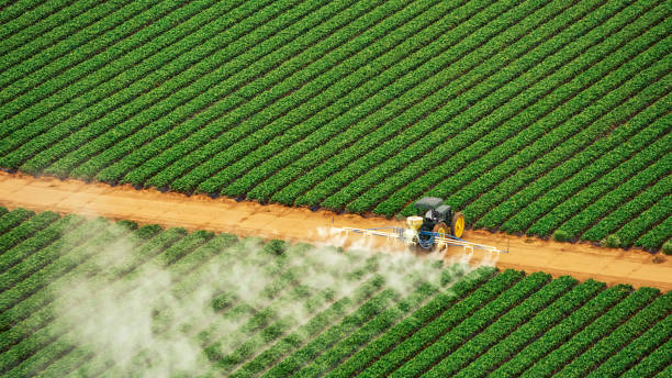 Best Pest Removal Services  in Madisonville, TN