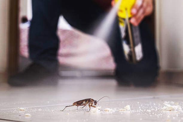Best Pest Prevention Services  in Madisonville, TN