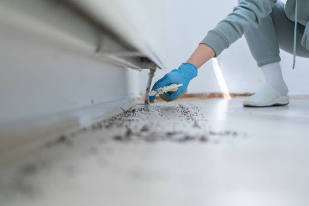 Best Exterminator Services  in Madisonville, TN